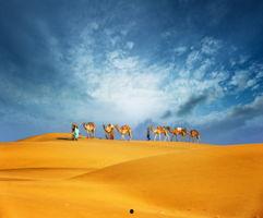 最新沙漠爆料新闻事件视频 第1张 最新沙漠爆料新闻事件视频 第1张